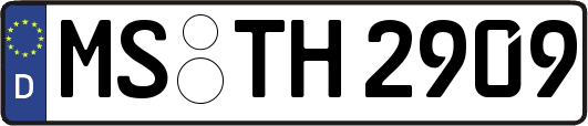 MS-TH2909