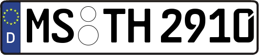 MS-TH2910