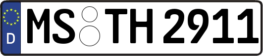 MS-TH2911