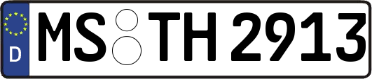 MS-TH2913
