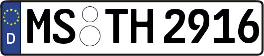 MS-TH2916