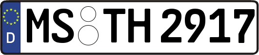 MS-TH2917