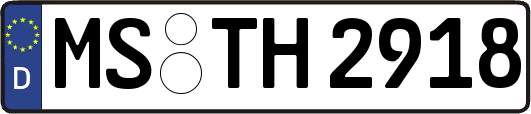 MS-TH2918