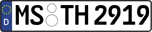 MS-TH2919