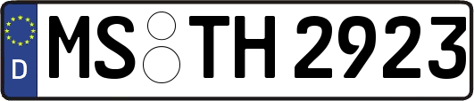 MS-TH2923