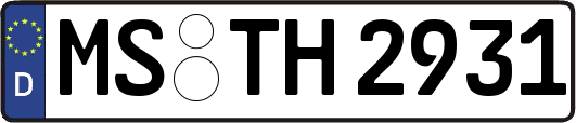 MS-TH2931