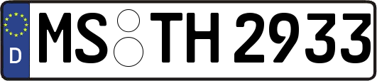 MS-TH2933