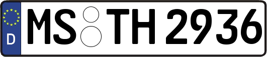 MS-TH2936