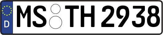 MS-TH2938