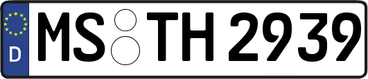 MS-TH2939