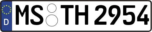 MS-TH2954