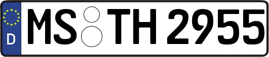 MS-TH2955