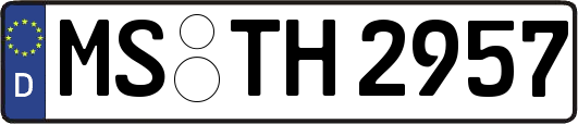 MS-TH2957