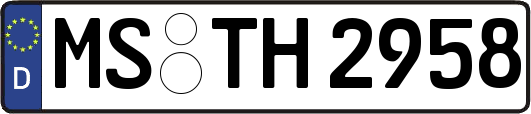 MS-TH2958
