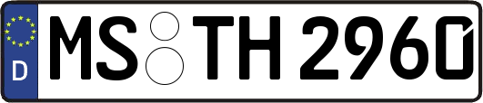MS-TH2960