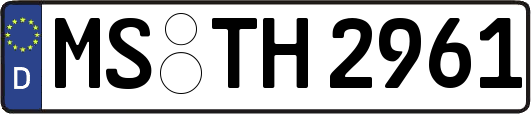 MS-TH2961