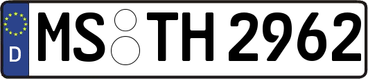 MS-TH2962