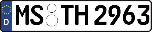 MS-TH2963