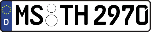 MS-TH2970