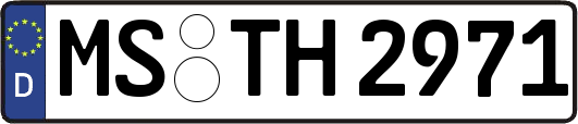 MS-TH2971