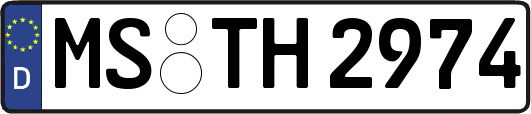 MS-TH2974