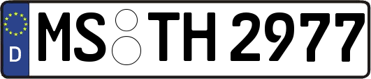 MS-TH2977