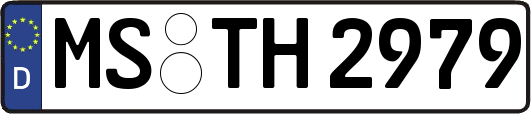 MS-TH2979