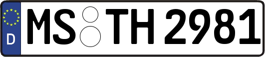 MS-TH2981