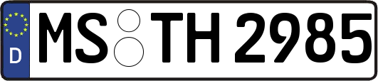 MS-TH2985
