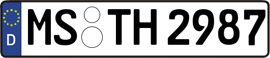 MS-TH2987