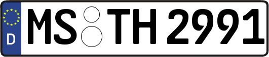 MS-TH2991