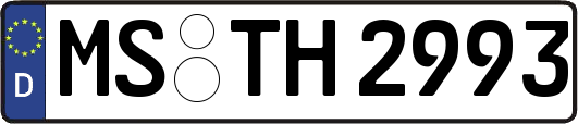 MS-TH2993