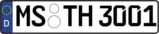 MS-TH3001