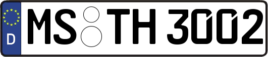 MS-TH3002