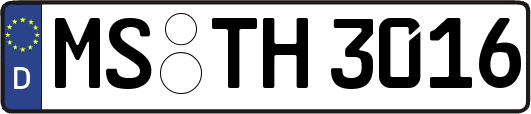 MS-TH3016
