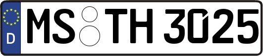 MS-TH3025