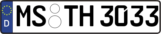 MS-TH3033
