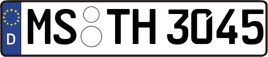 MS-TH3045