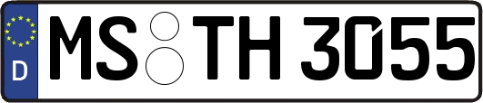 MS-TH3055