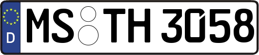 MS-TH3058