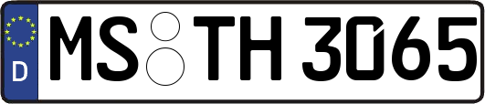 MS-TH3065
