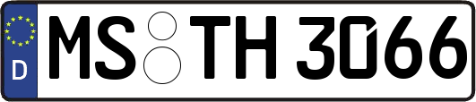 MS-TH3066