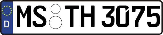 MS-TH3075