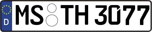 MS-TH3077