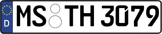 MS-TH3079