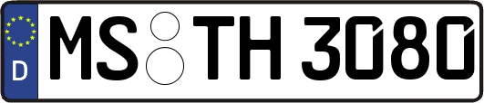 MS-TH3080