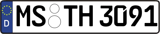 MS-TH3091
