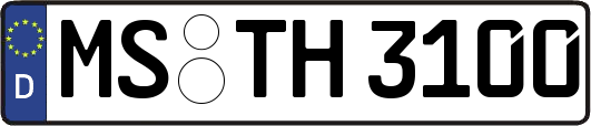 MS-TH3100