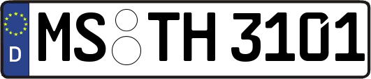 MS-TH3101