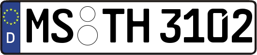 MS-TH3102